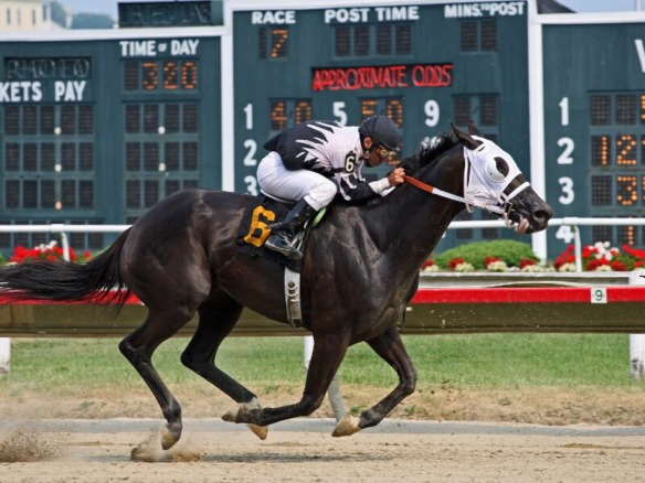 Thrilling horse race action in Vietnam sports betting scene, showcasing jockey and horse sprinting past odds board for exclusive licensed betting excitement.