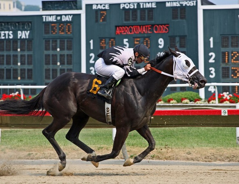 Thrilling horse race action in Vietnam sports betting scene, showcasing jockey and horse sprinting past odds board for exclusive licensed betting excitement.